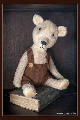 artist bear Primitive style teddy